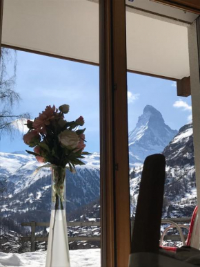 Millennium top view Zermatt